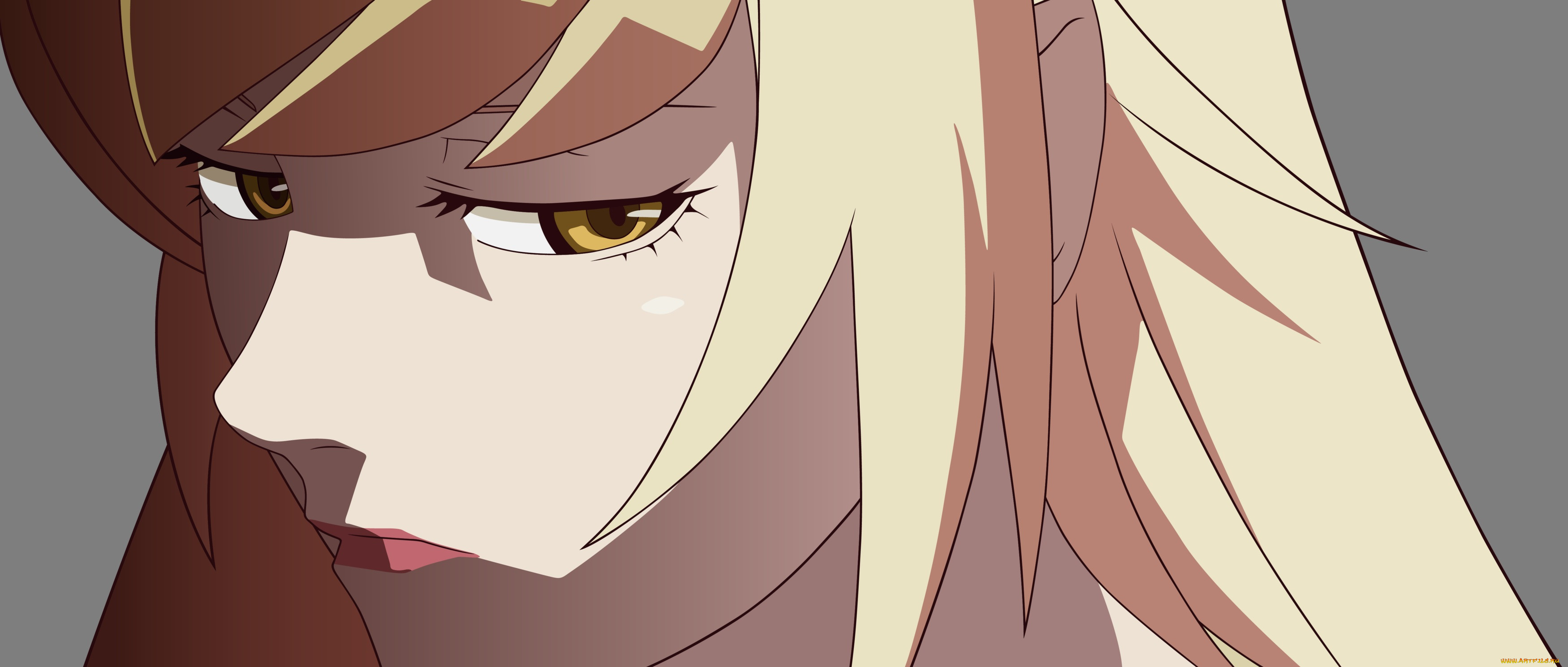, bakemonogatari, kizumonogatari